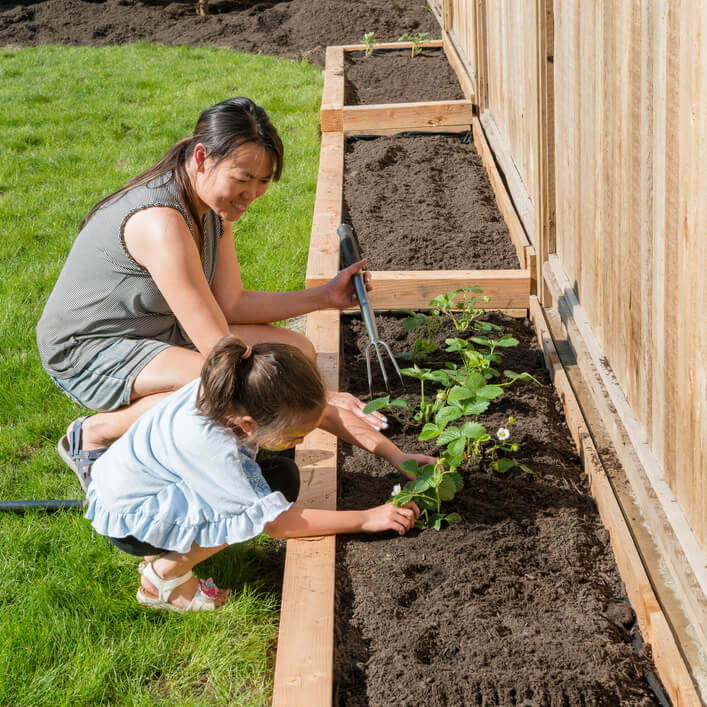 How to Grow a Veggie Patch With Your Kids - Bellamy's Organic Singapore