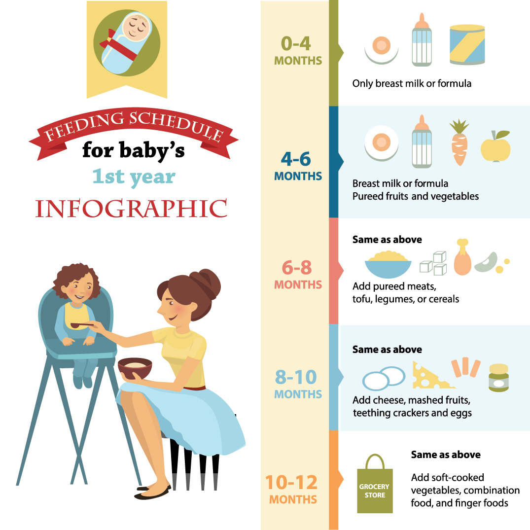 Your Baby’s First Year: An Easy Guide to Feeding Schedules - Bellamy's ...